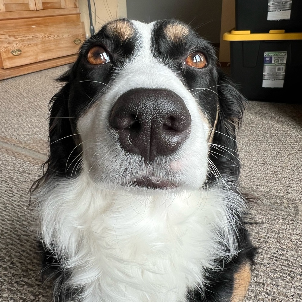 Extra Shipping Label !!